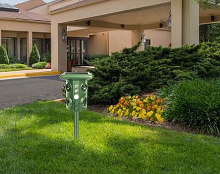 The repeller on a lawn by a courtyard driveway
