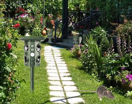 The repeller beside a garden path with flower beds