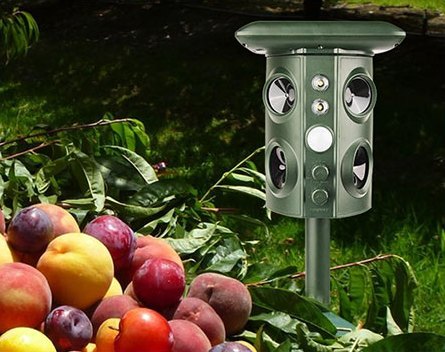 The repeller beside a pile of ripe peaches and plums