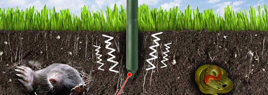 Cross-section of soil showing vibration from the stake reaching a mole and a snake